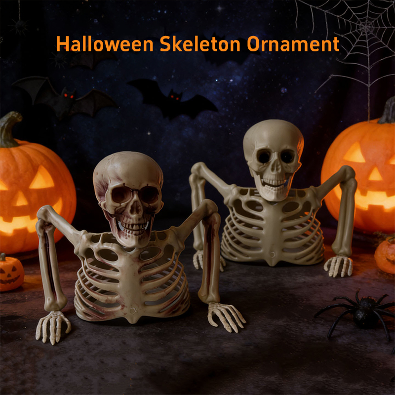 ホラー風の半分の骸骨オーナメント、ハロウィーンの骸骨骨飾り、 - Halloween Party Supplies のレビューと価格